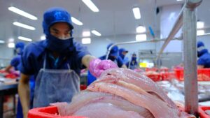(Tiếng Việt) Thuỷ sản Nam Việt (ANV): Đã khép kín chuỗi giá trị cá tra, tham vọng lãi năm nay tăng gấp 8 lần