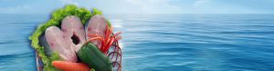 Banner 1