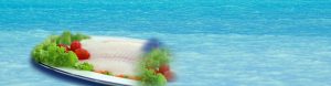 Banner 2