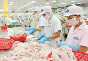 (Tiếng Việt) Giá xuất khẩu trung bình cá tra Việt Nam tăng nhẹ trong tháng 2/2024